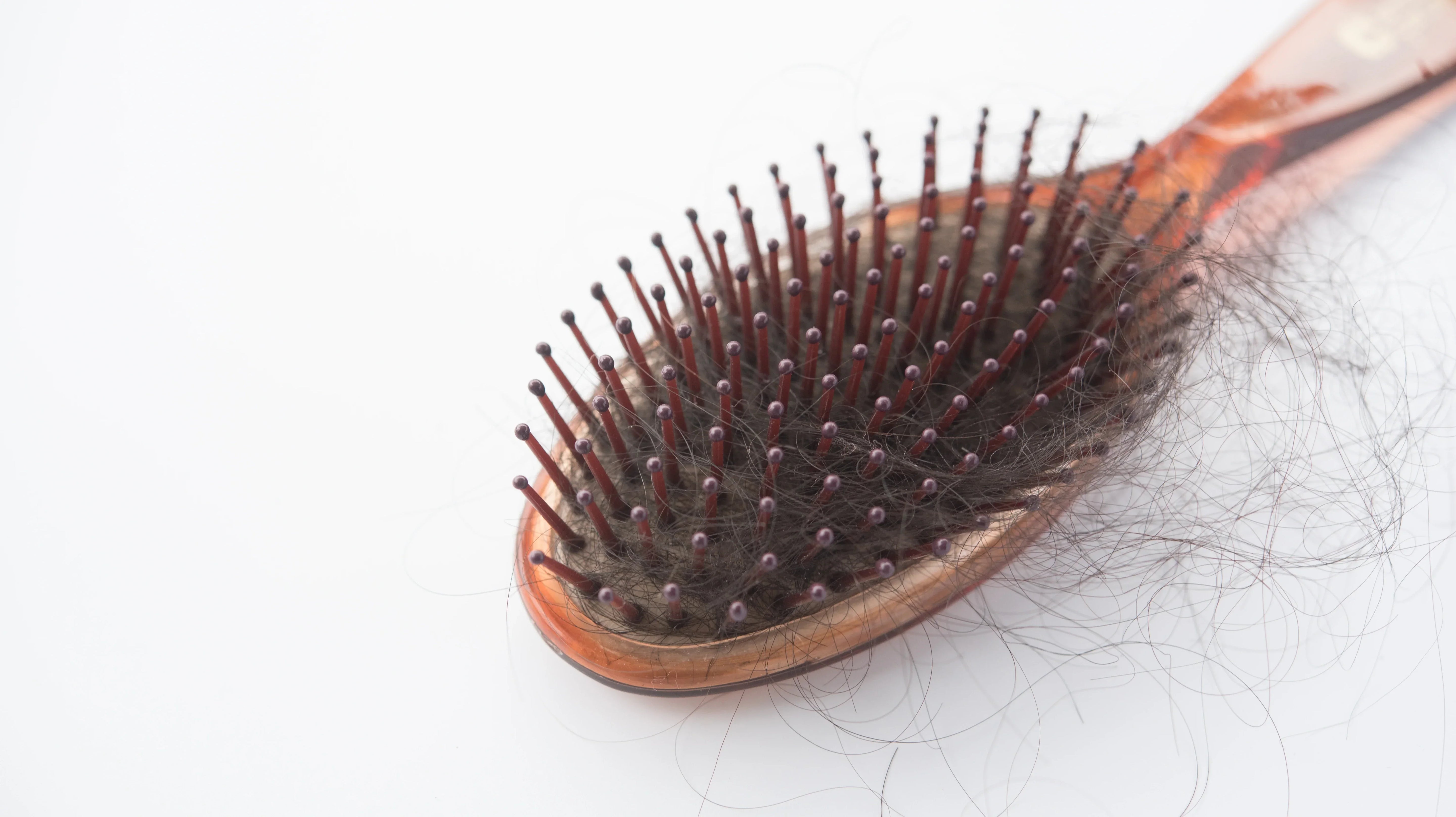 Hair Loss Myths and Facts: What You Really Need to Know - Med7 Online