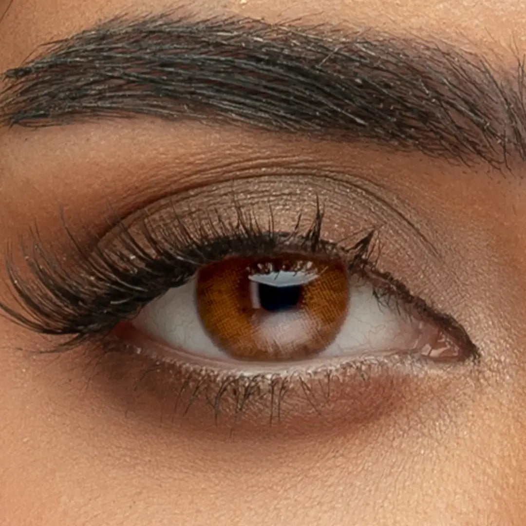 Macro photography of a person wearing Sama Monthly Arabica contact lenses, showcasing the deep espresso brown color and smooth lens texture.