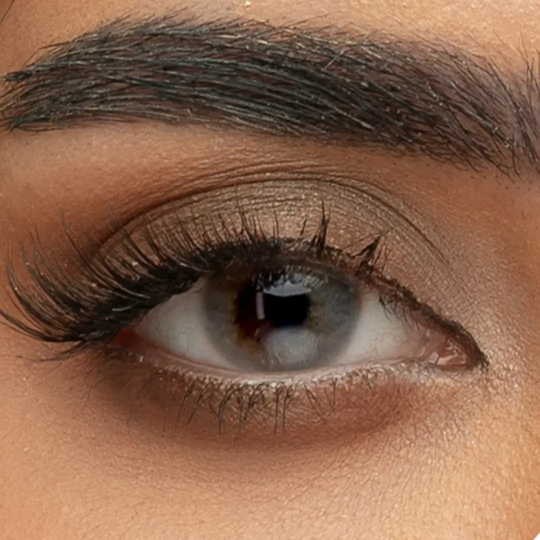 Sama Contact Lenses Monthly Dove Gray